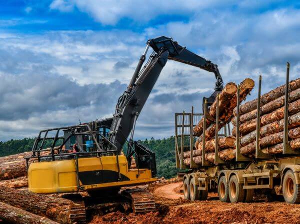 Heavy-duty forestry machinery clearing logs and trees